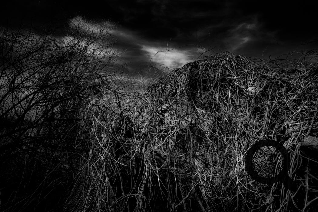 Lost Places, Makros